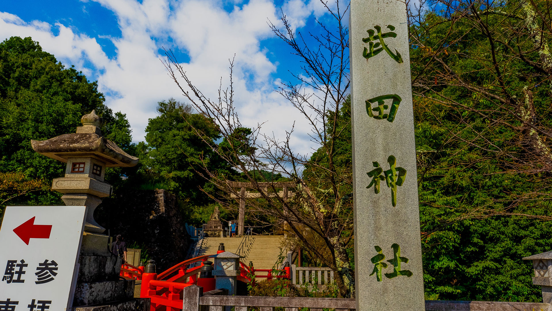 夏の躑躅ヶ崎館6