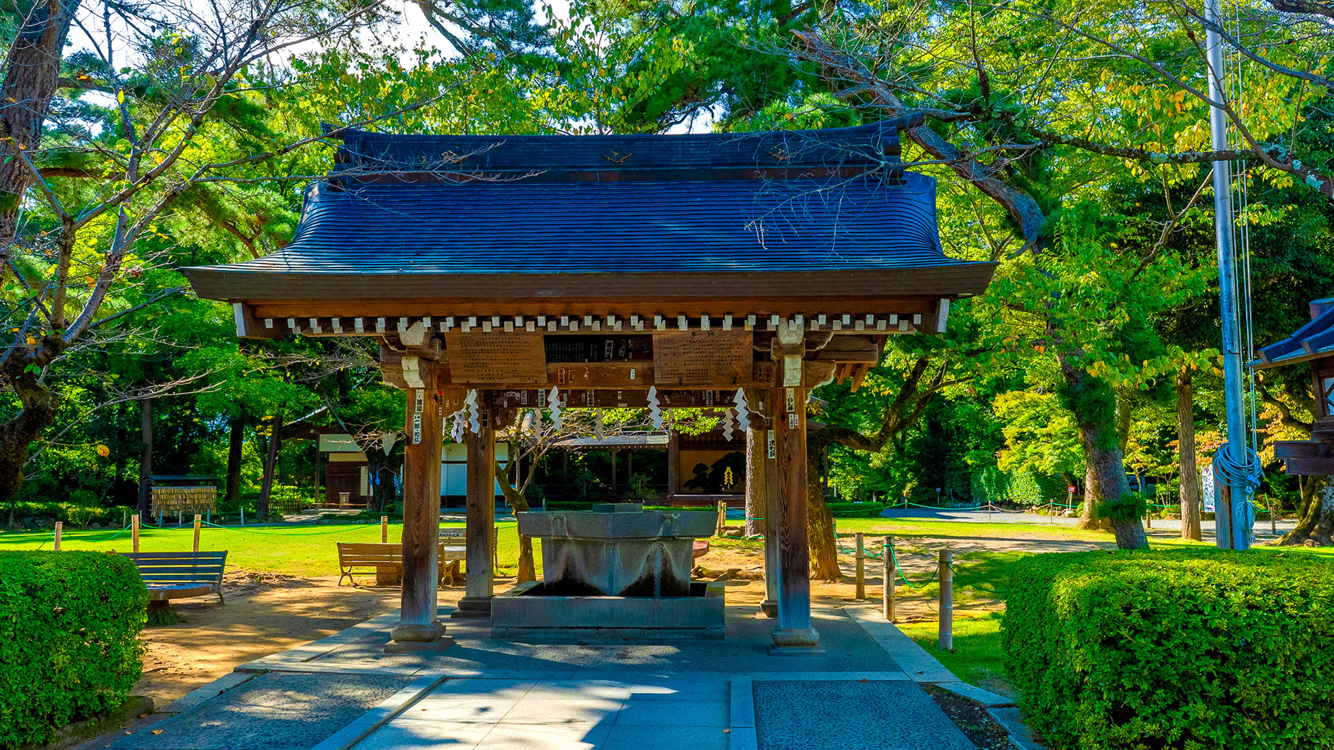 夏の躑躅ヶ崎館8