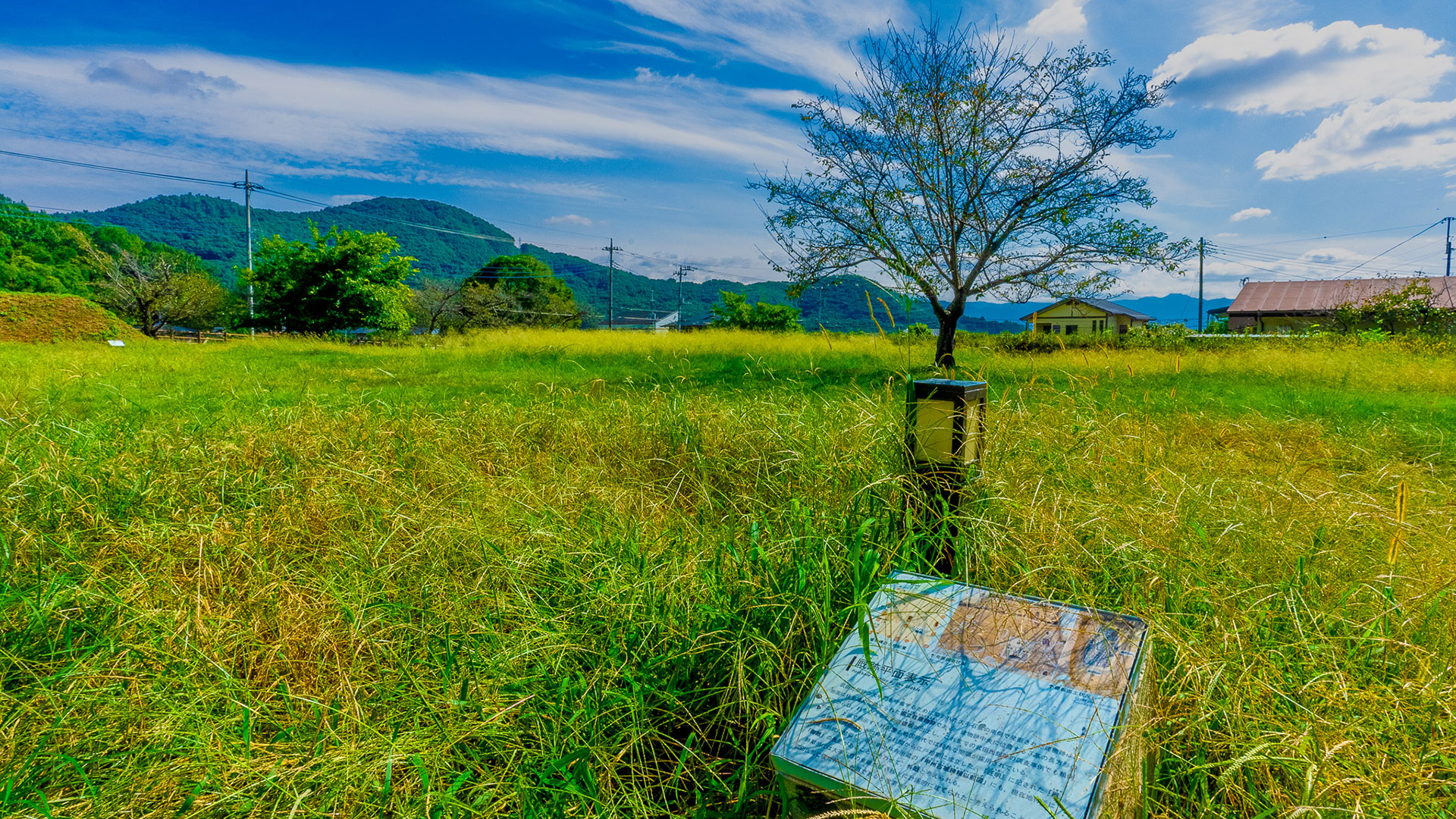 夏の躑躅ヶ崎館10