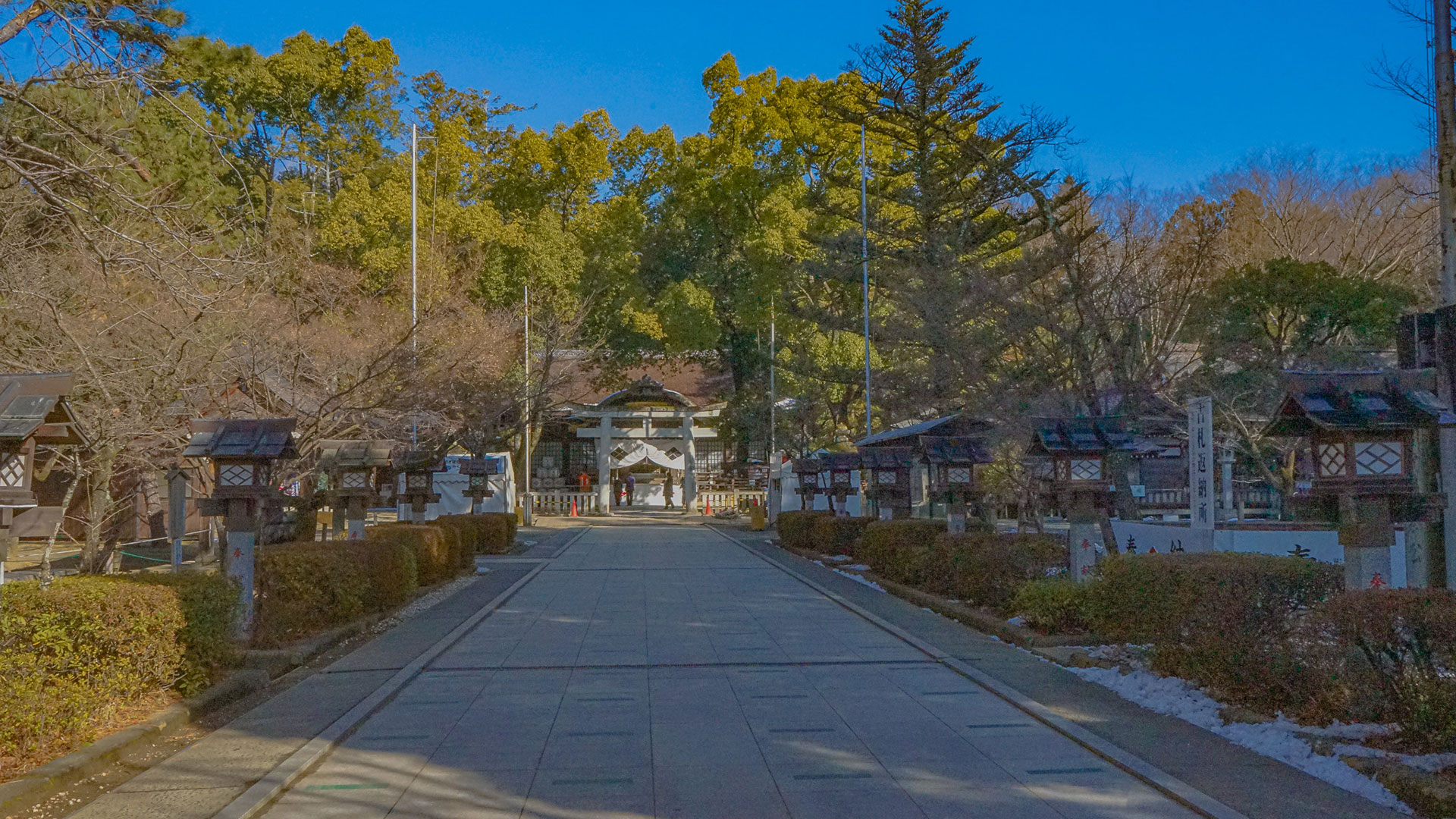 冬の躑躅ヶ崎館3