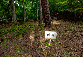 要害山城跡の見どころ3