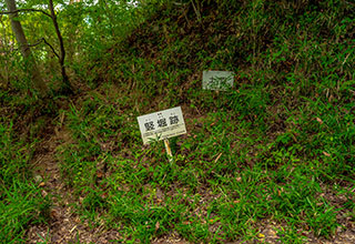 要害山城跡の見どころ5