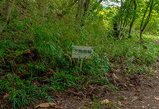 要害山城跡の見どころ10