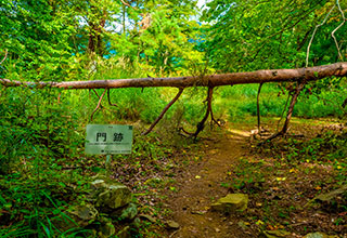 要害山城跡の見どころ13
