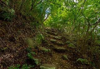 要害山城跡の見どころ15