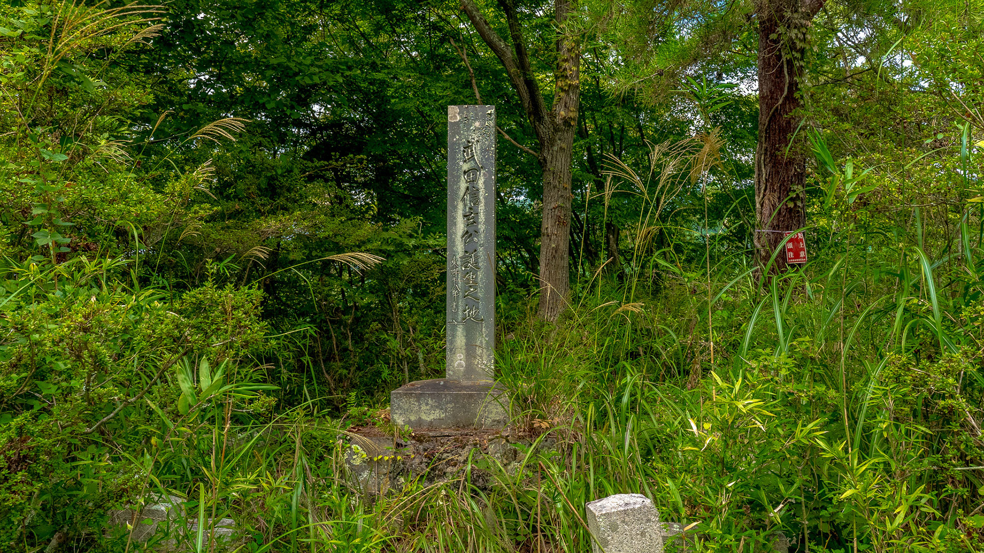 夏の要害山城跡4