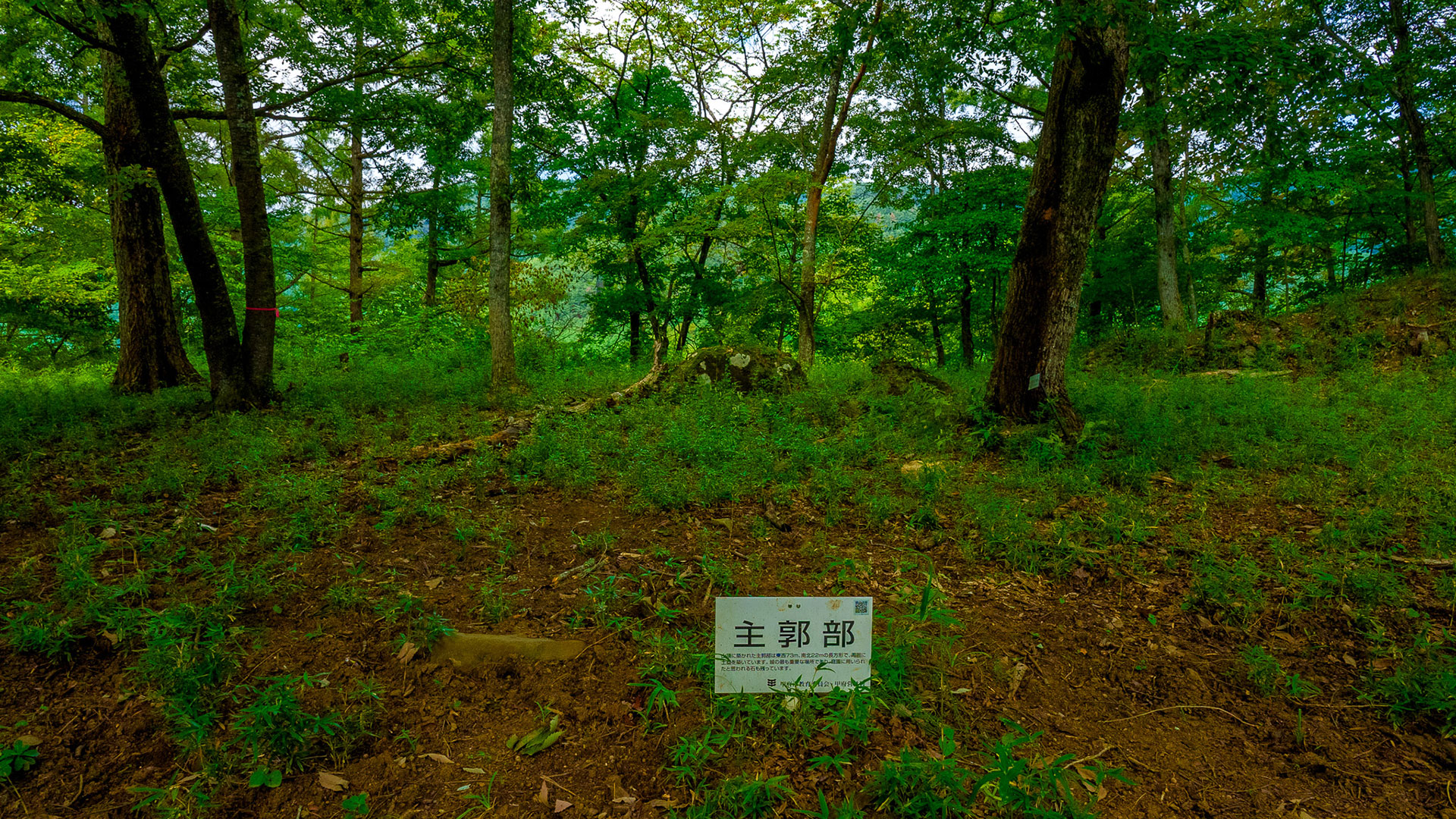 夏の要害山城跡5