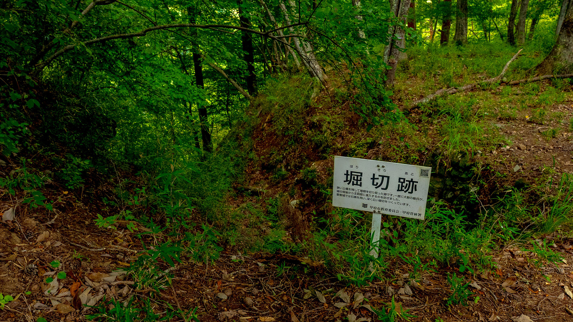 夏の要害山城跡6