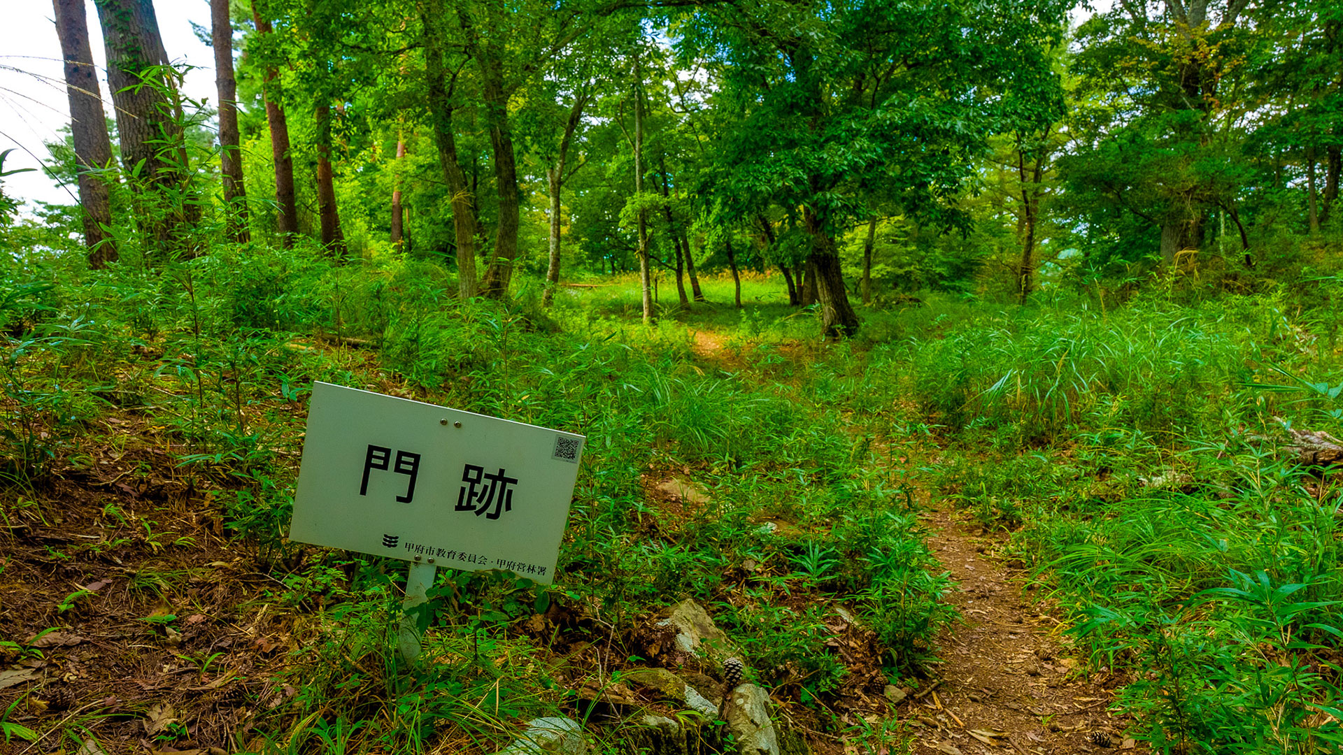 夏の要害山城跡7