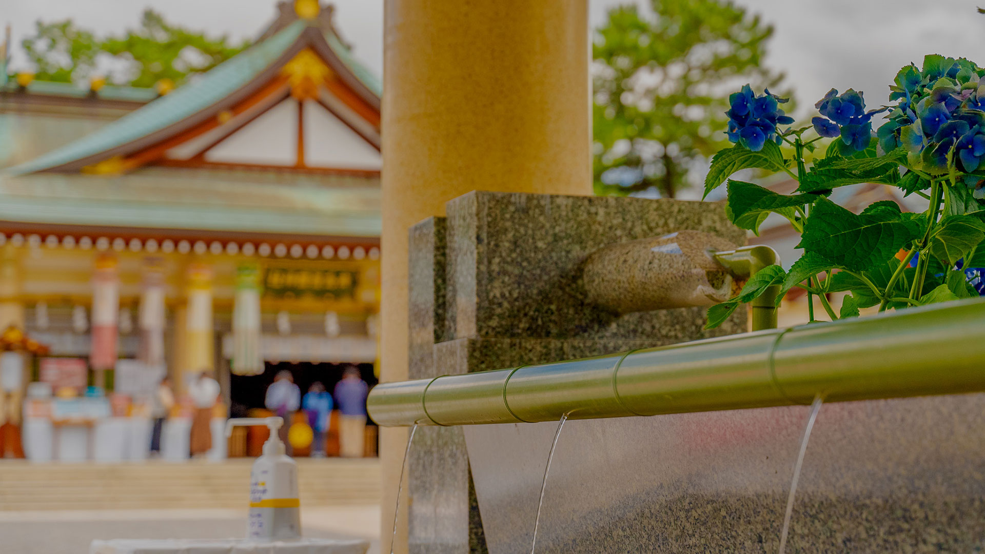 夏の広島護国神社6
