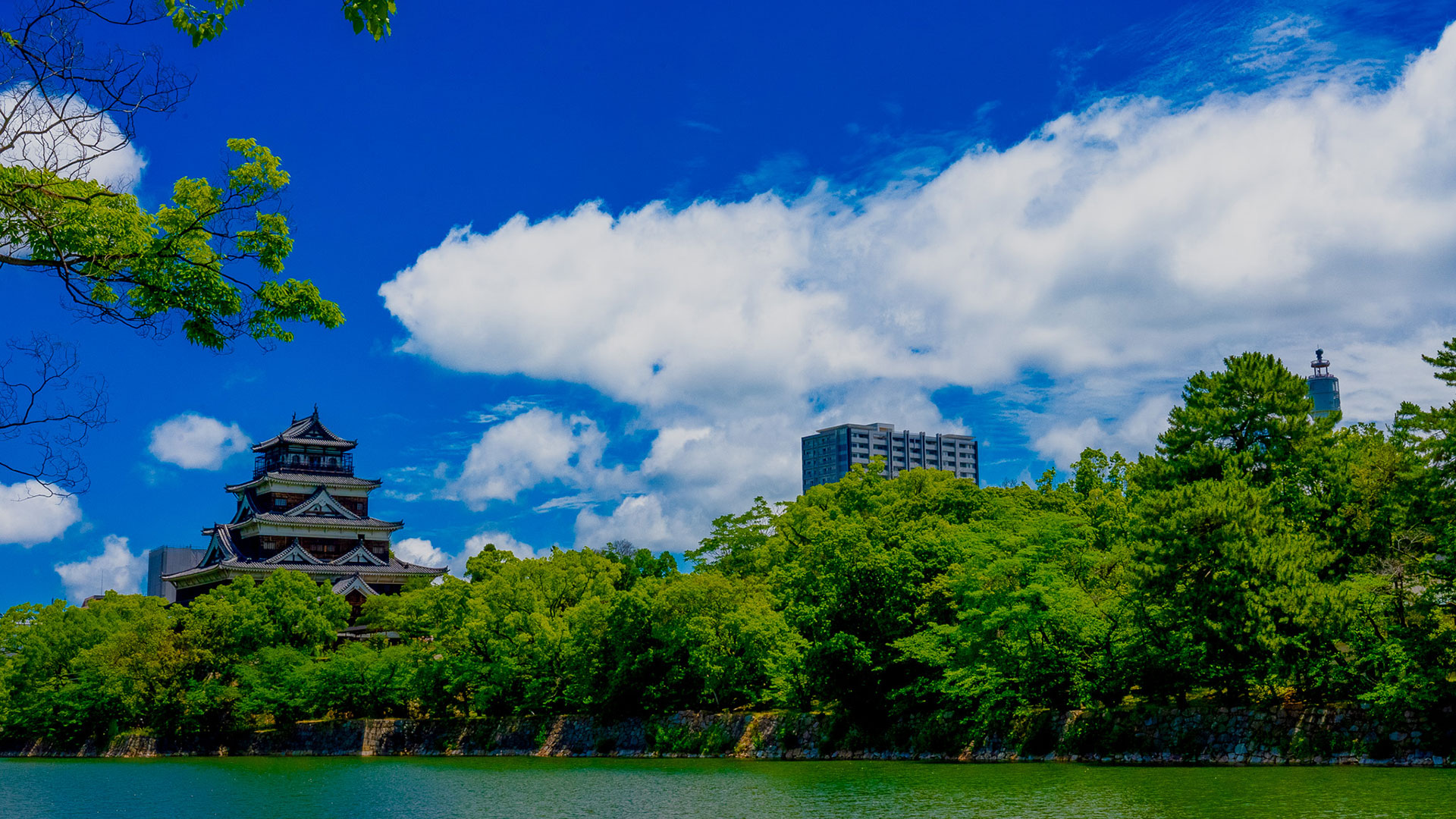 夏の広島城2