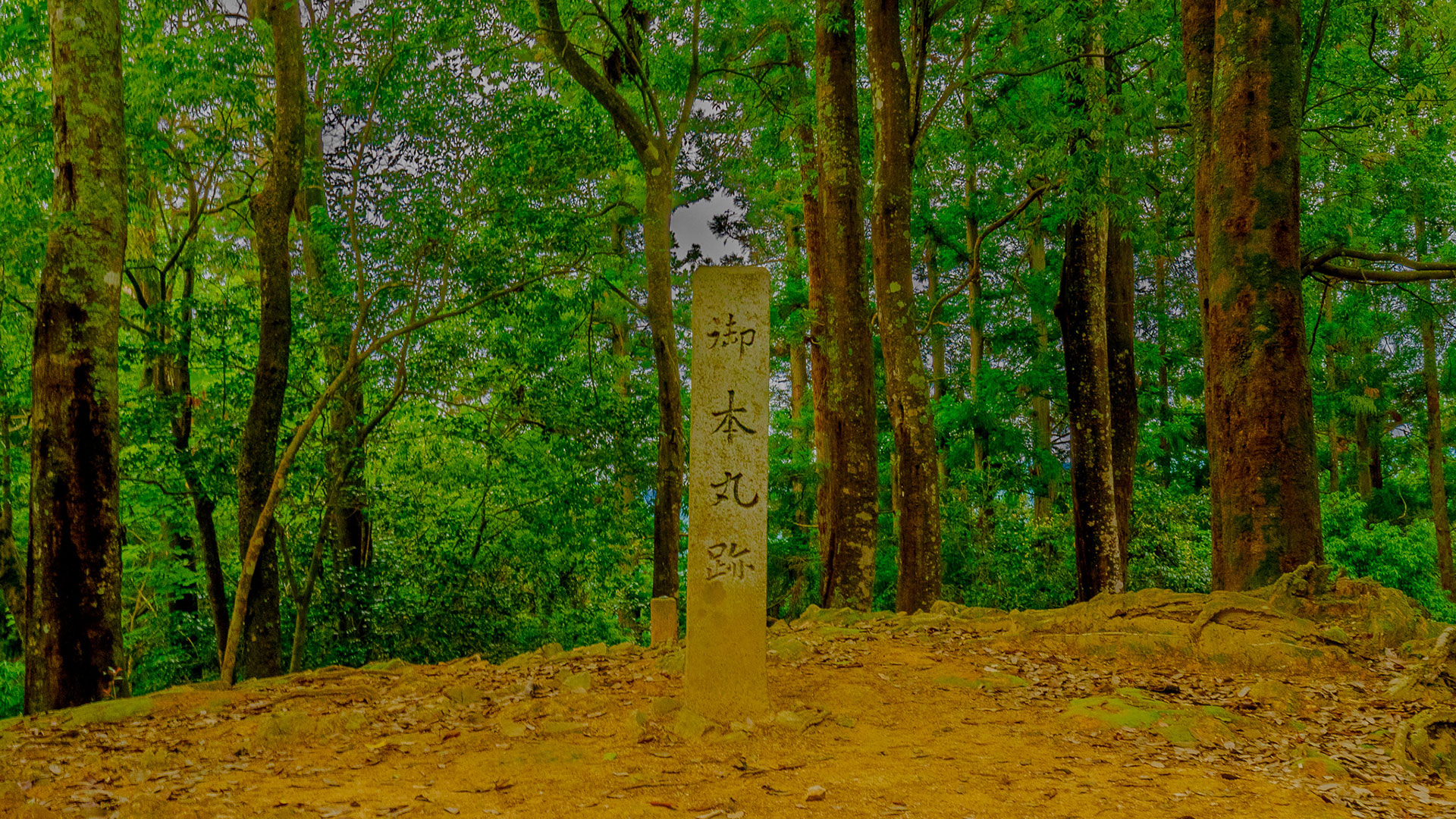 夏の吉田郡山城2