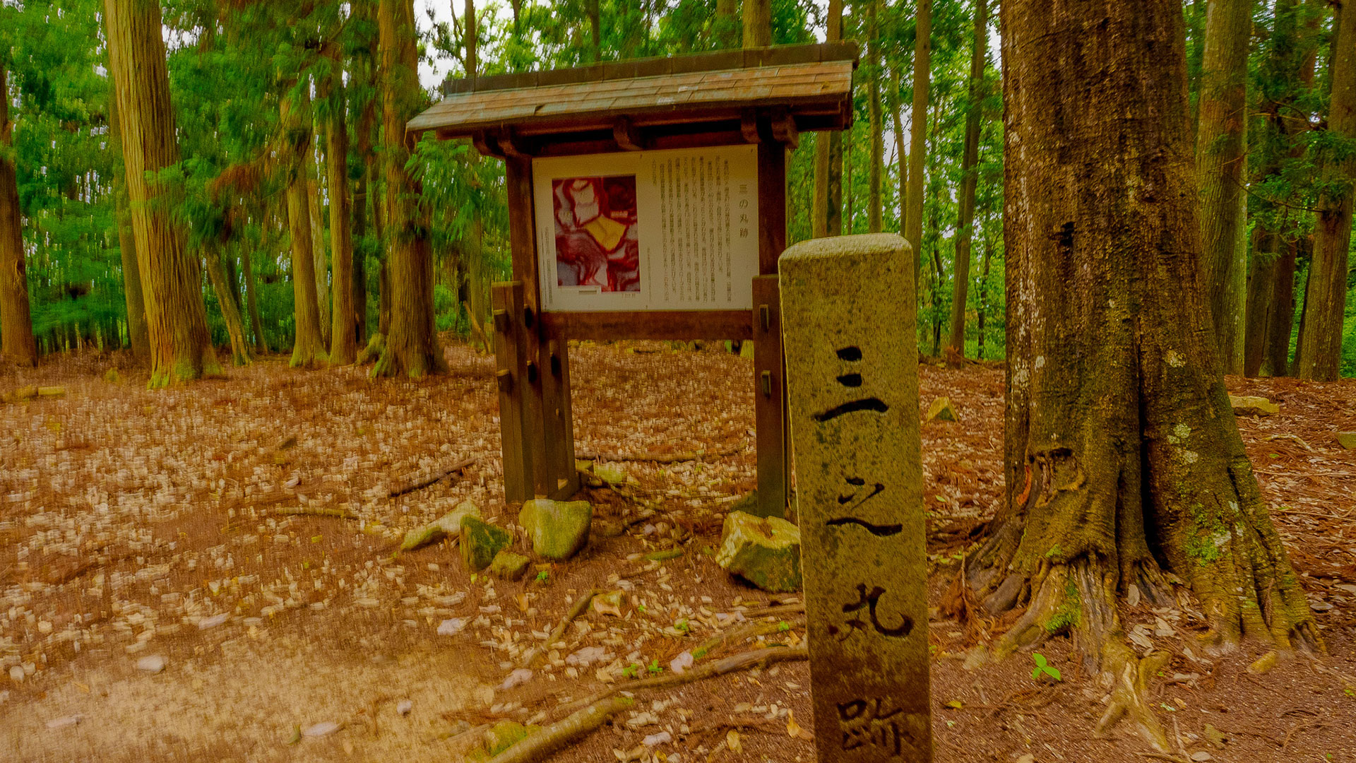 夏の吉田郡山城3