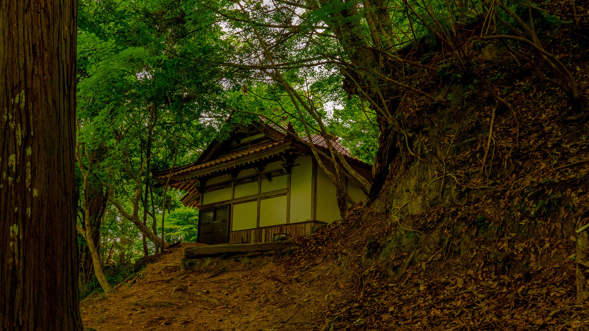 夏の吉田郡山城8