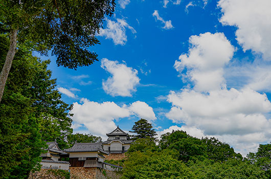 備中松山城