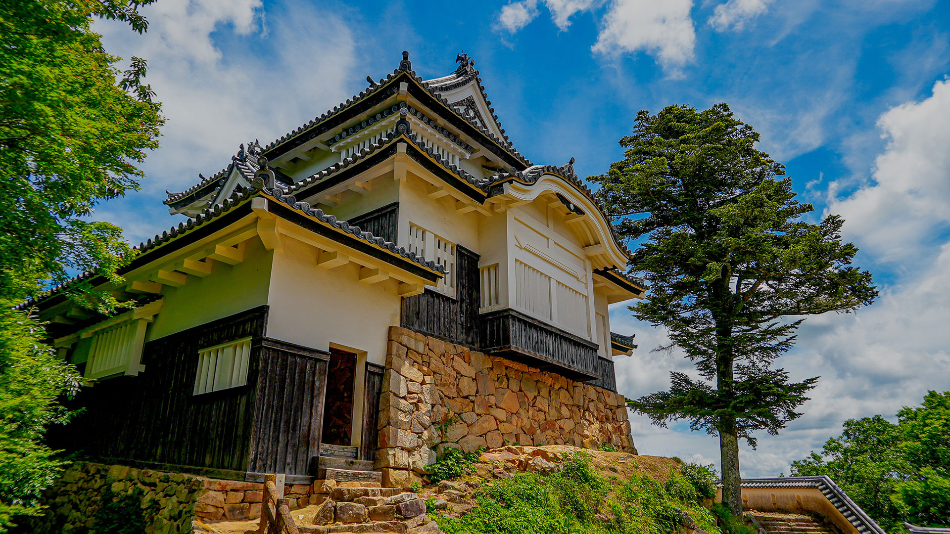 夏の備中松山城4