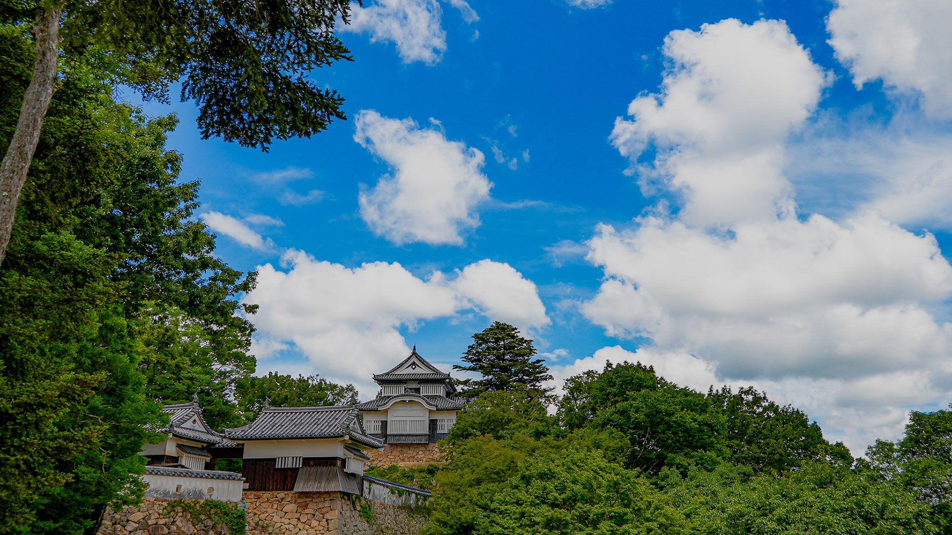 夏の備中松山城6