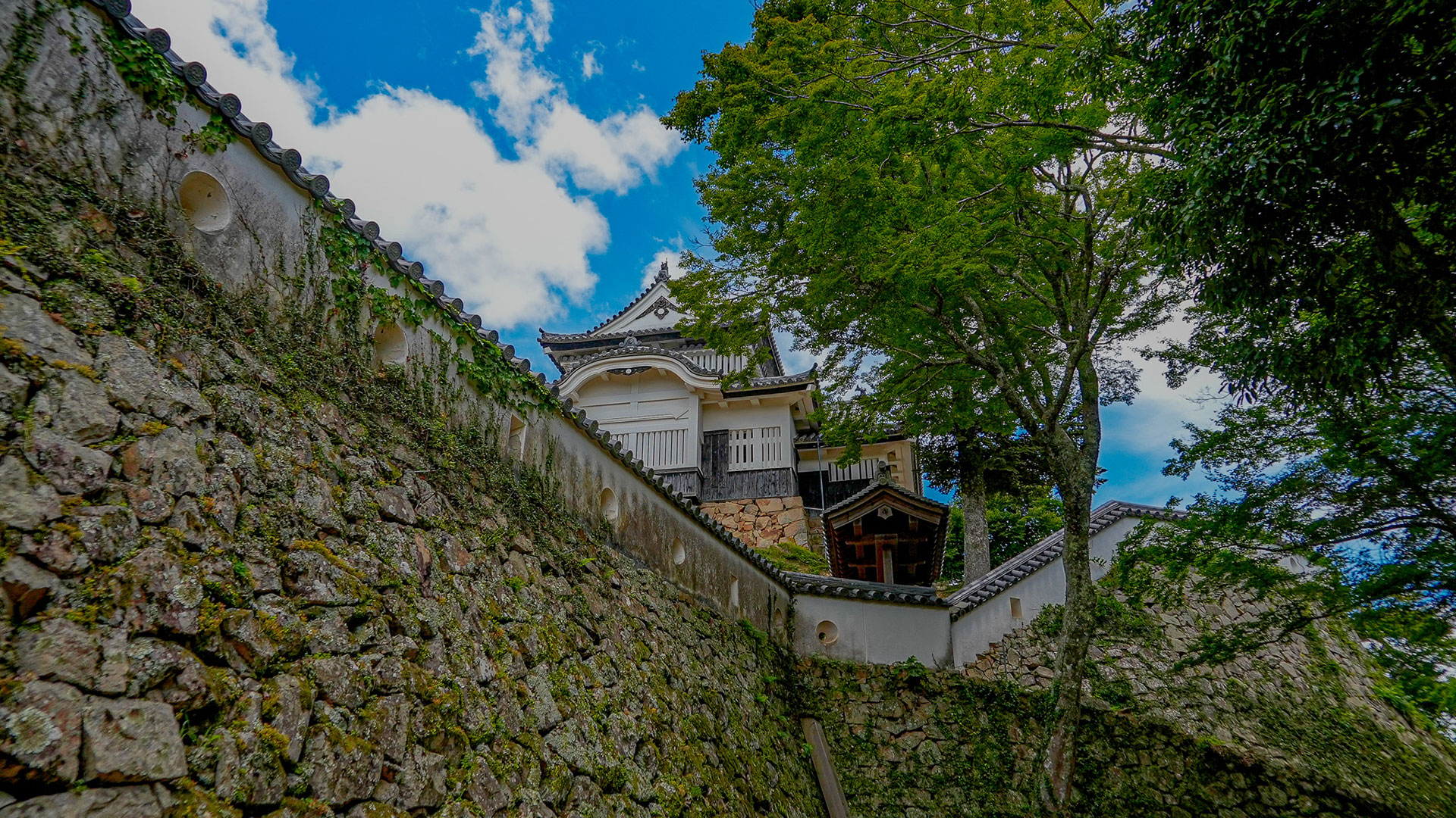 夏の備中松山城7