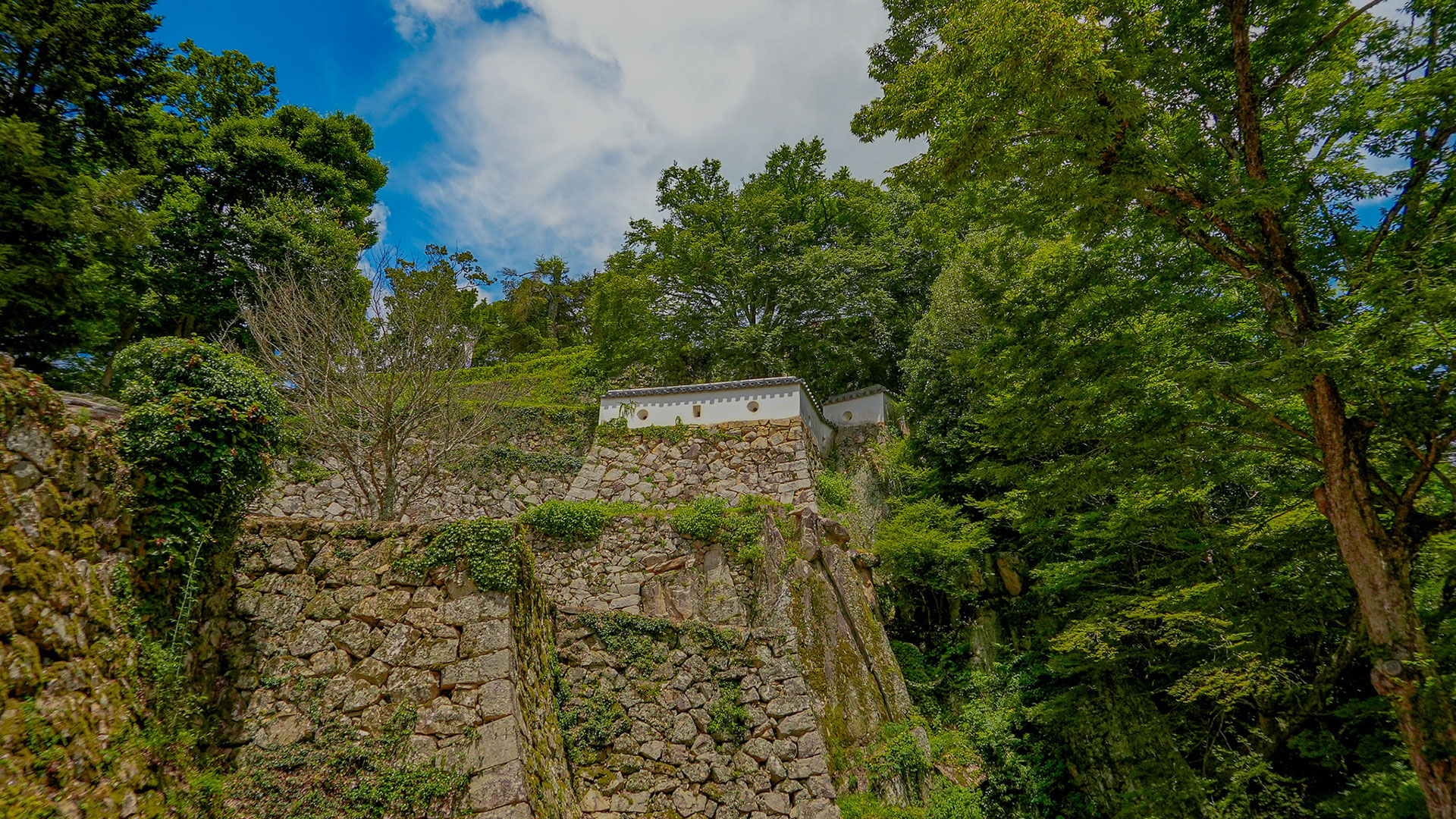 夏の備中松山城9