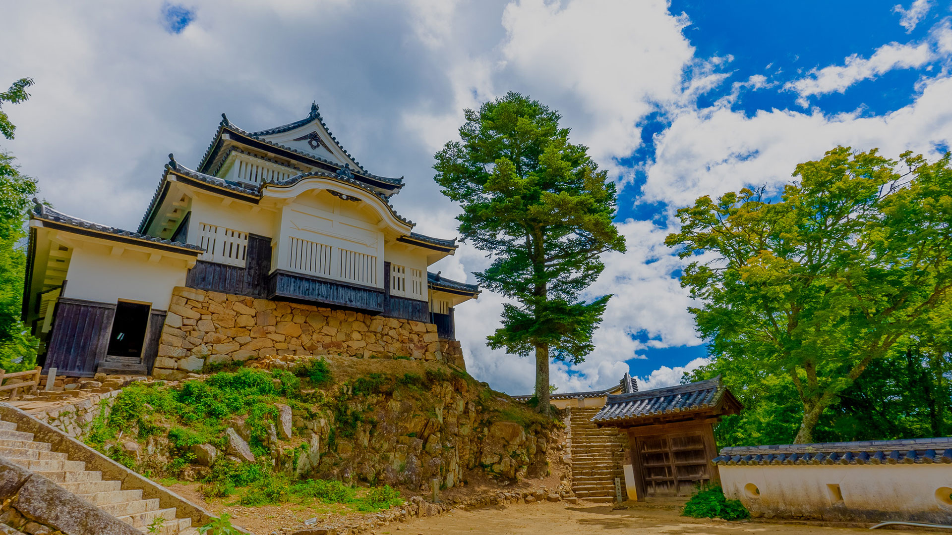夏の備中松山城11