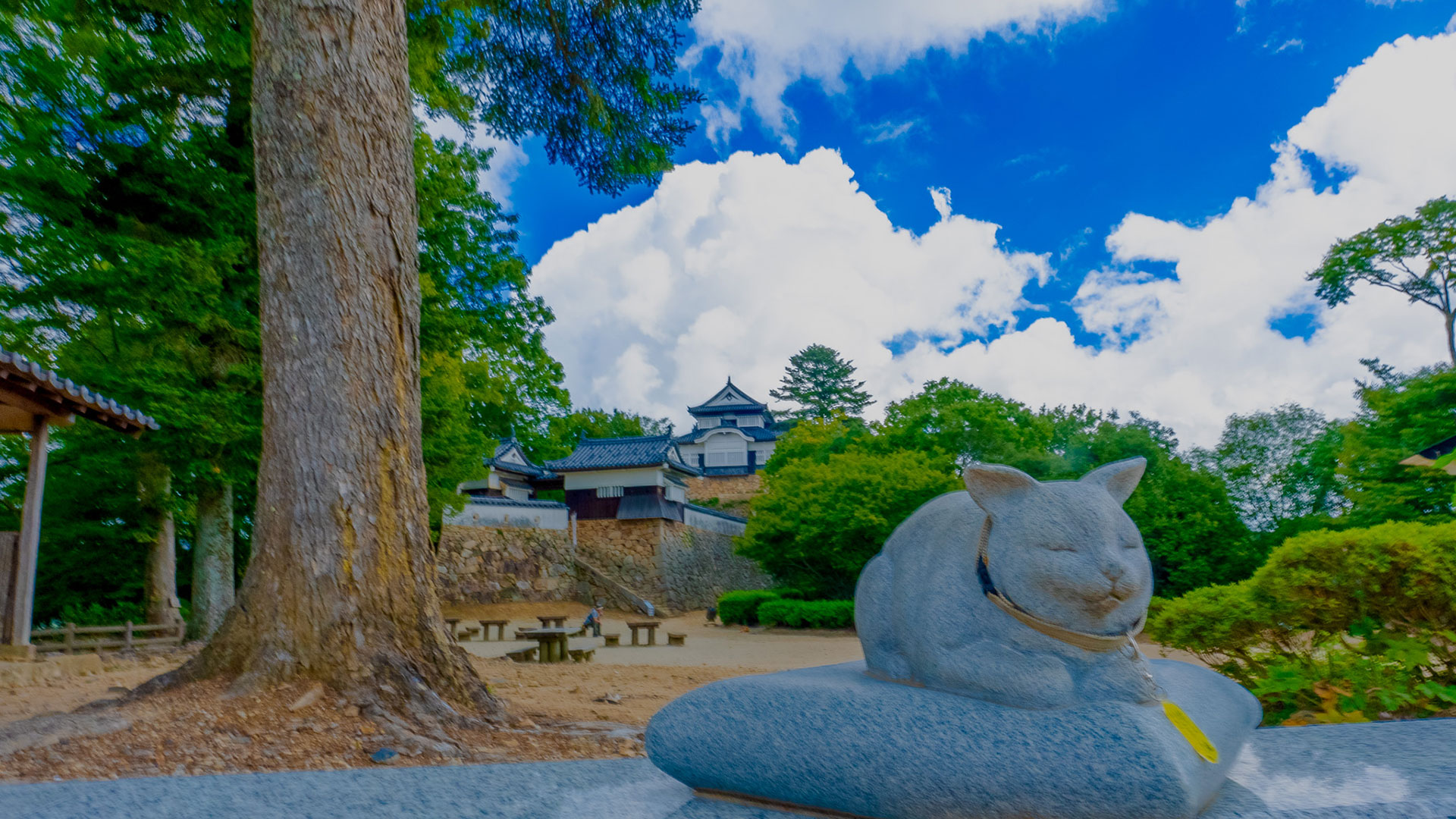 夏の備中松山城14