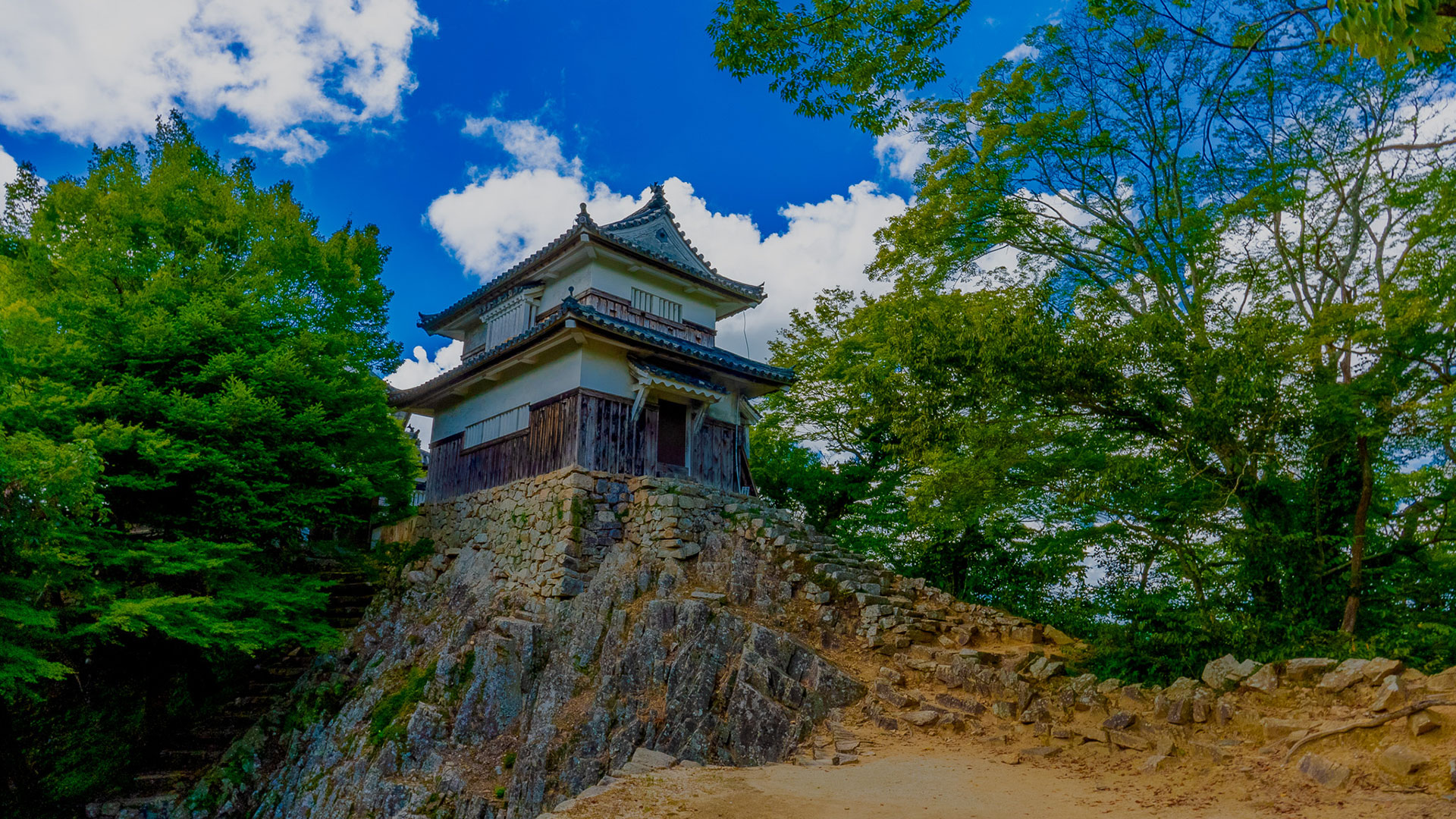 夏の備中松山城16