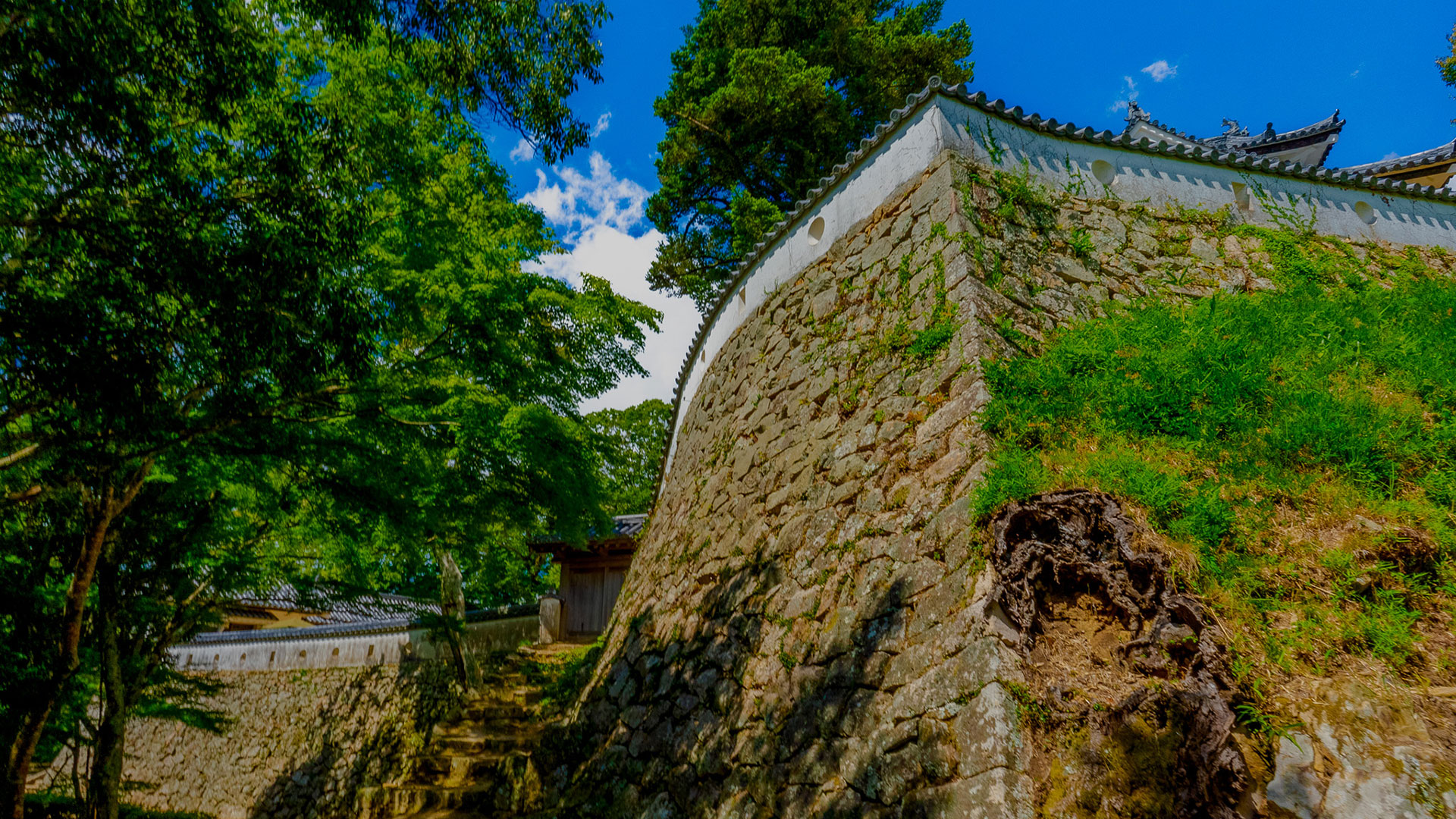 夏の備中松山城17