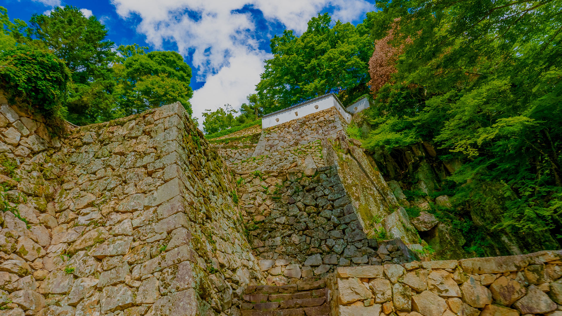 夏の備中松山城20