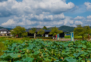 備中高松城の見どころ3