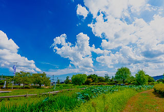 備中高松城の見どころ5