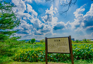 備中高松城の見どころ7