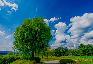 備中高松城の見どころ9