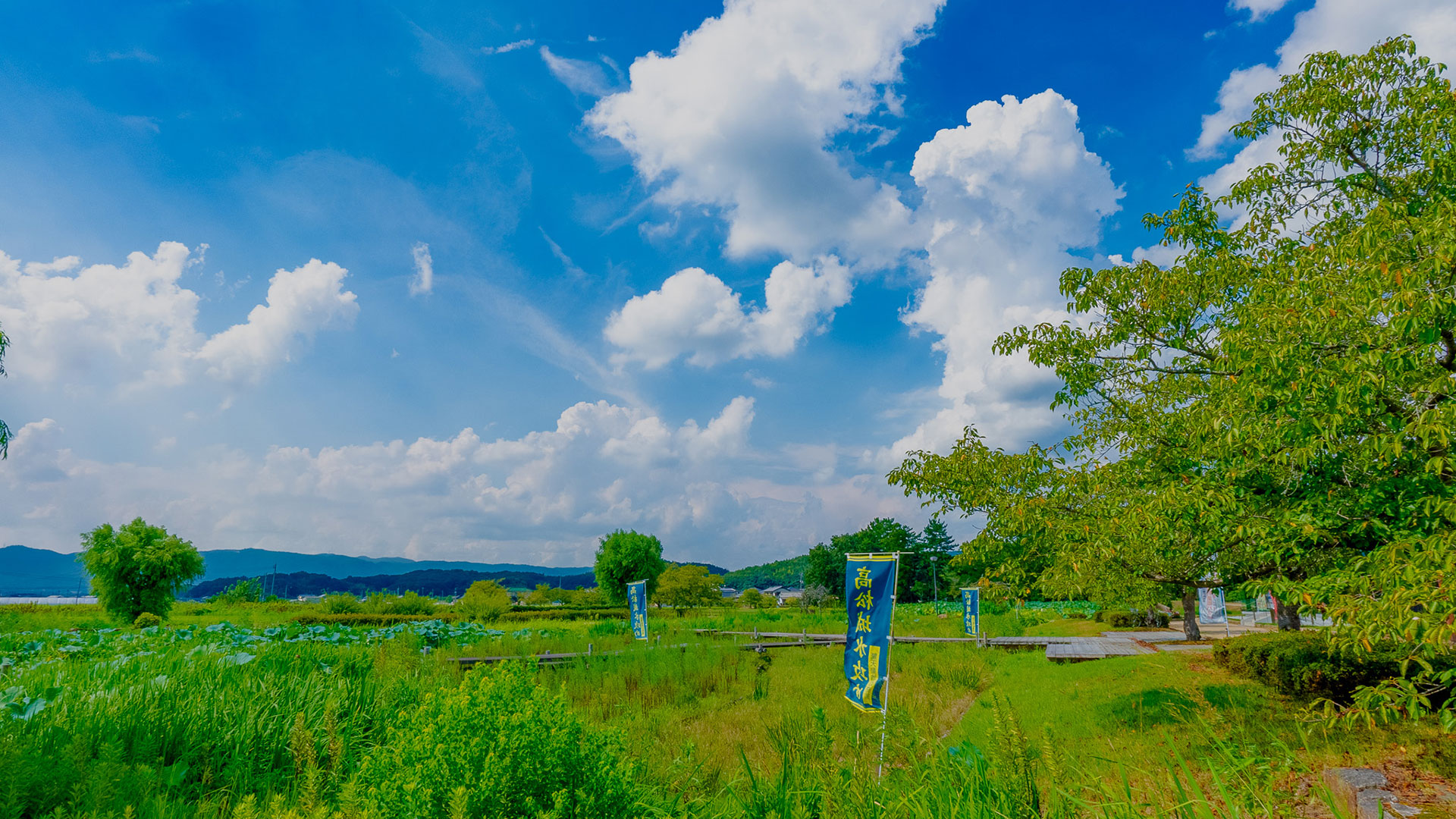 夏の備中高松城2