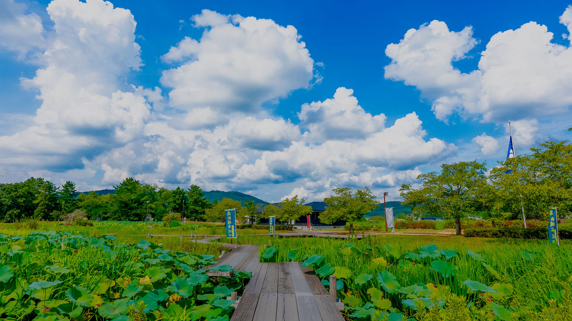 夏の備中高松城3