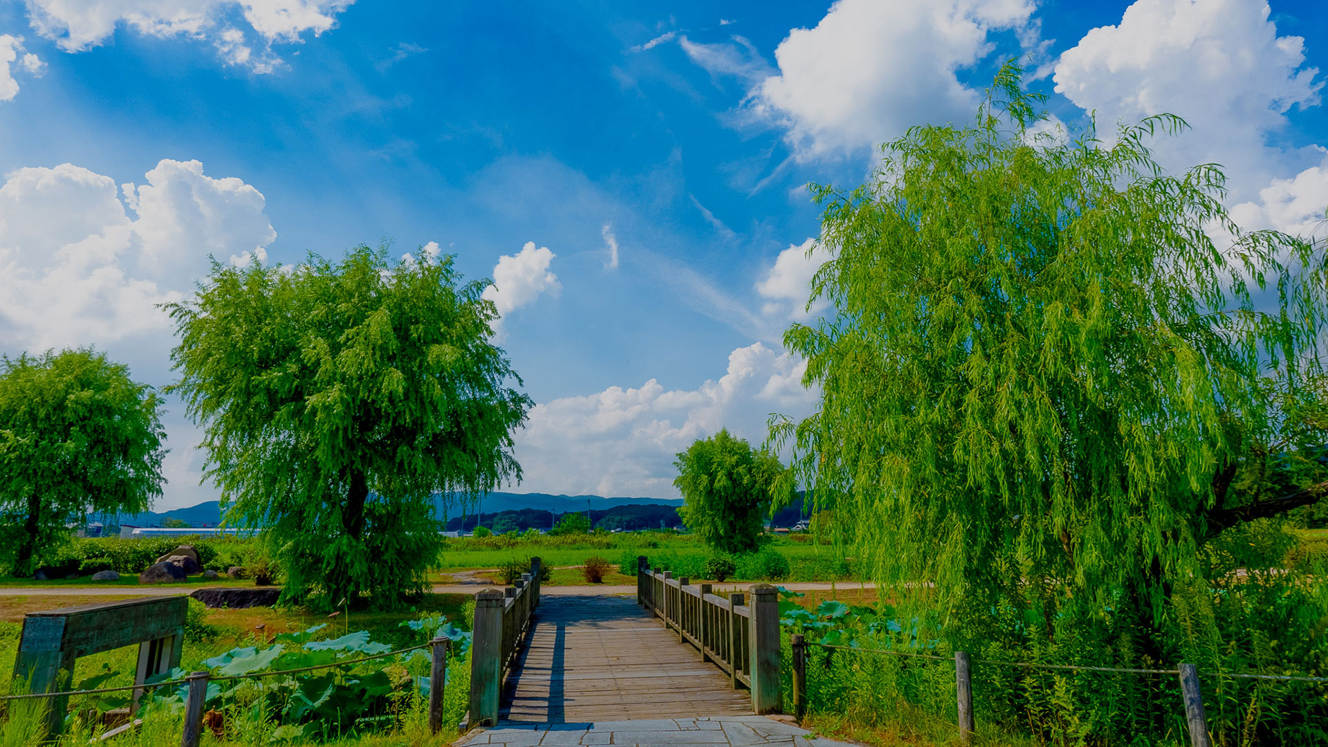 夏の備中高松城4