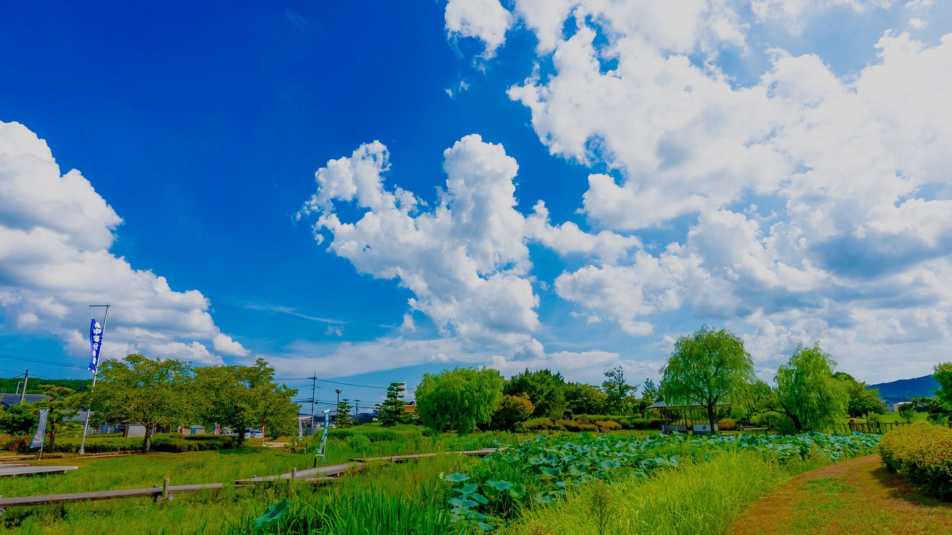 夏の備中高松城5