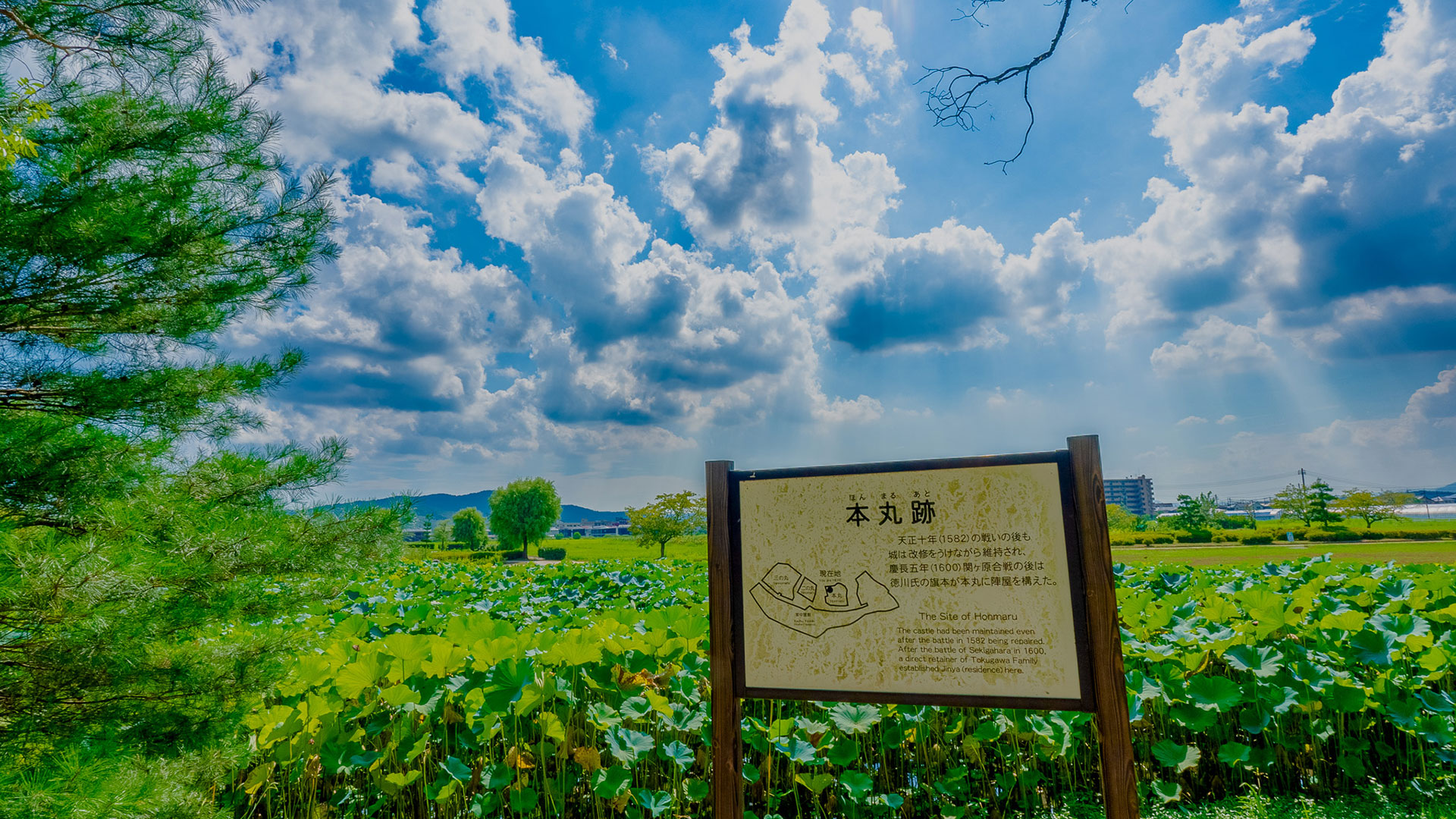 夏の備中高松城7