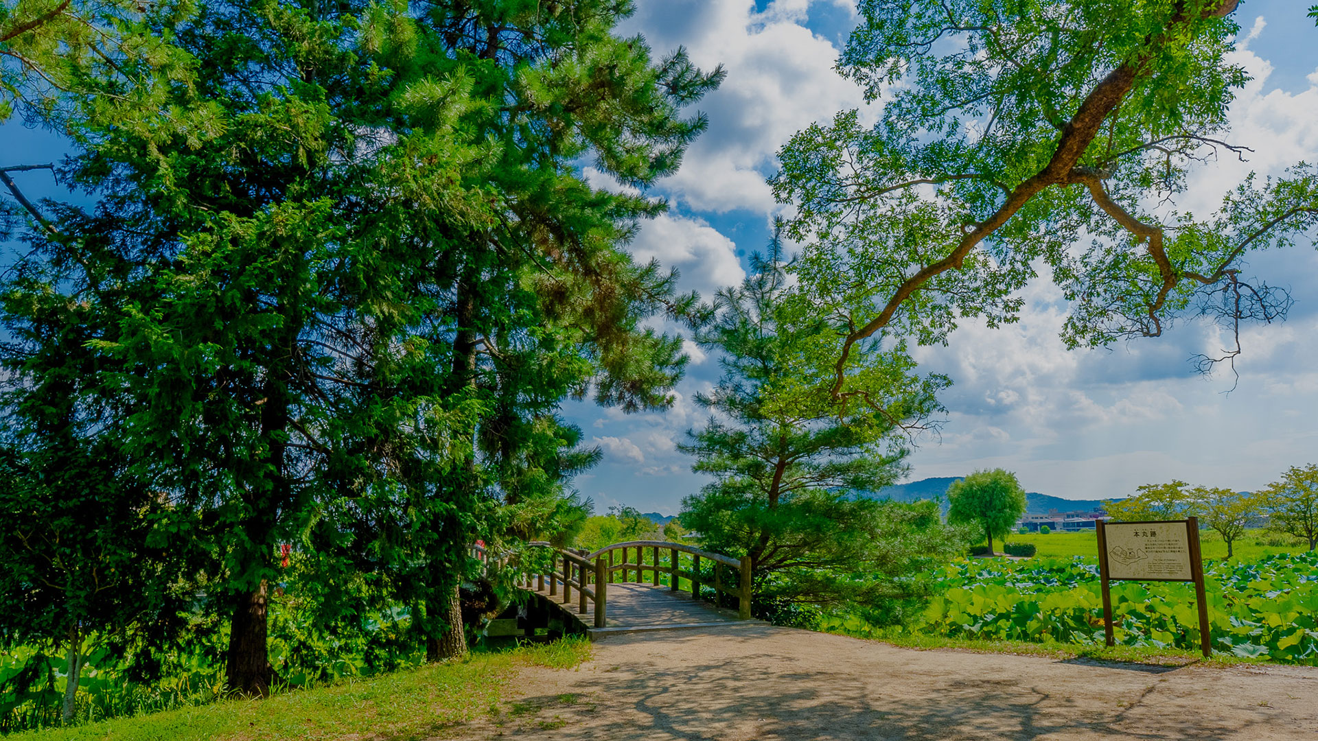夏の備中高松城8