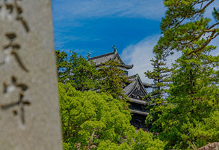 松江城の見どころ2