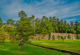 松江城の見どころ6