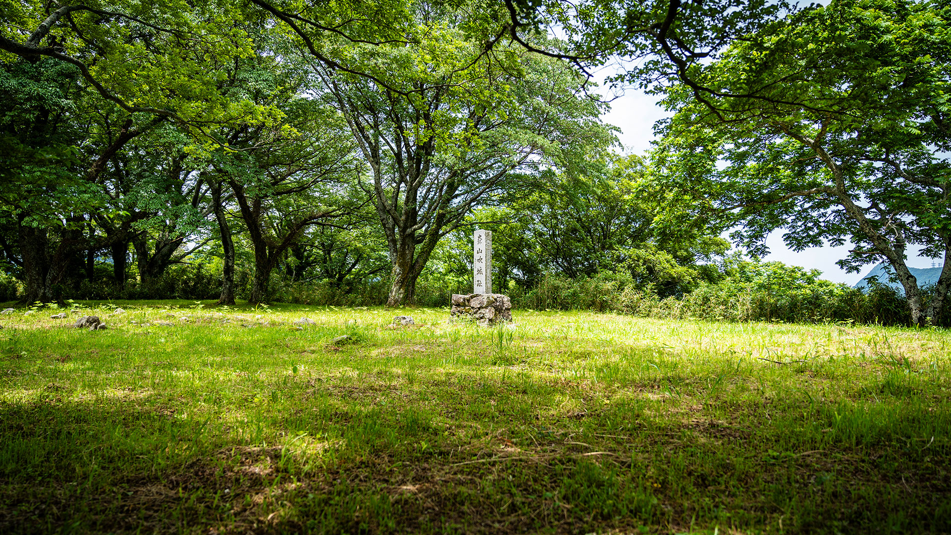 夏の山吹城跡2