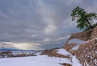 鳥取城の見どころ2