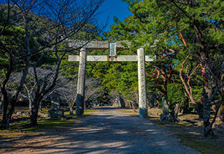 萩城跡の見どころ10