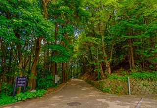 岩国城の見どころ6