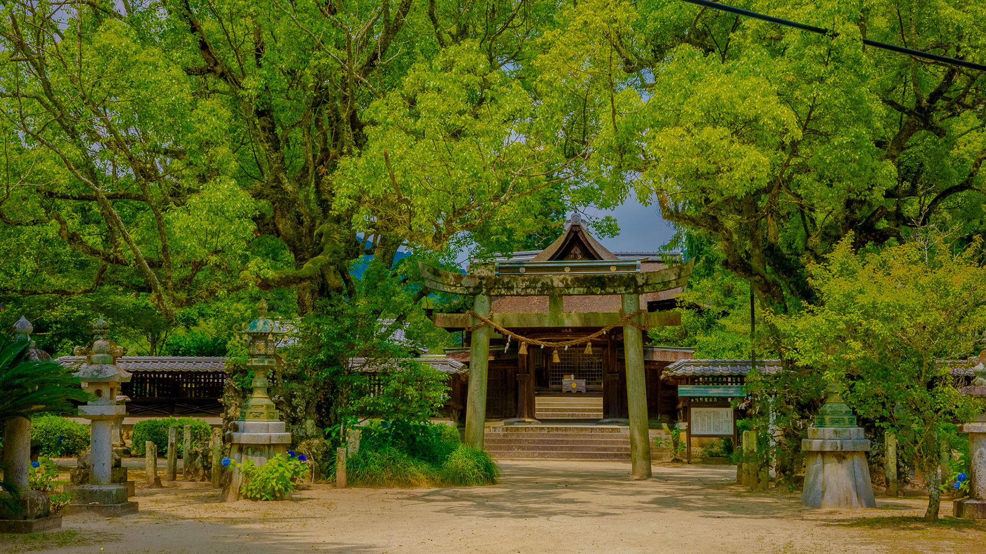 夏の吉香神社2