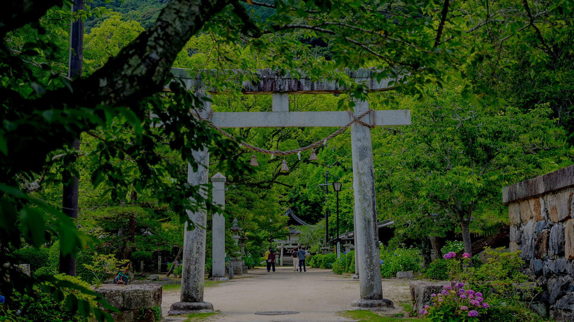 夏の吉香神社6