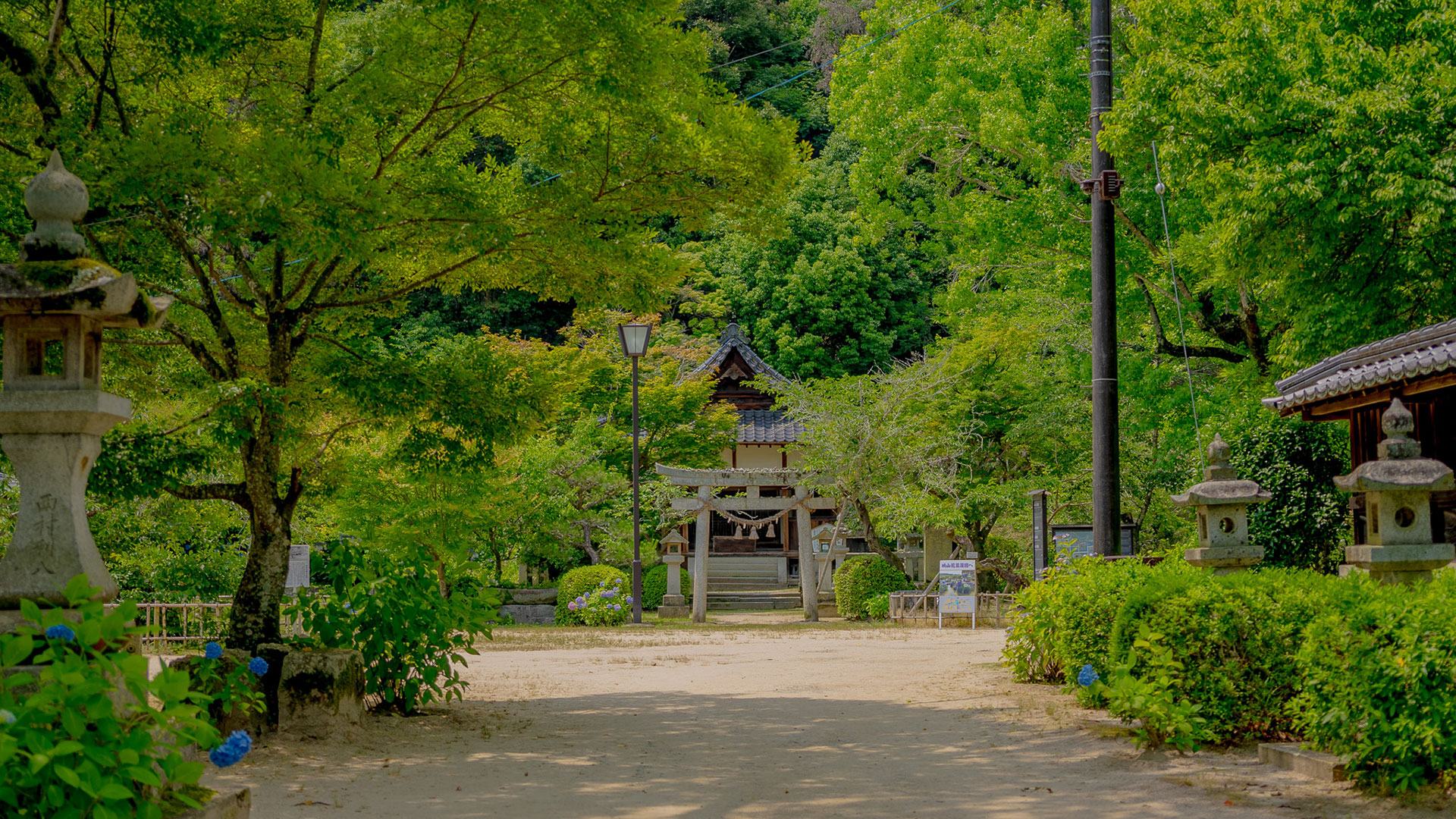 夏の吉香神社7