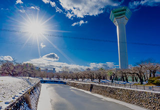 五稜郭の見どころ2