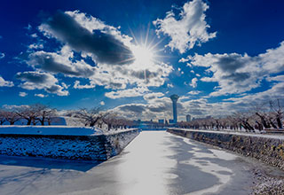 五稜郭の見どころ3