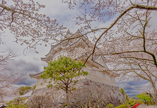 大多喜城の見どころ1